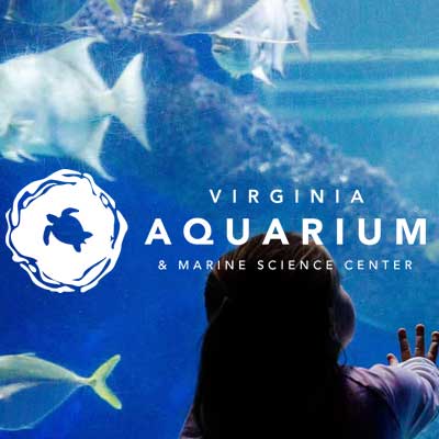 YR-va-aquarium