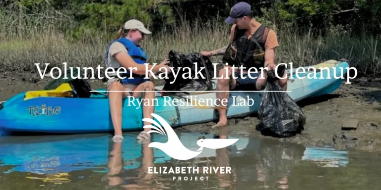 Kayak Volunteer Litter Cleanup