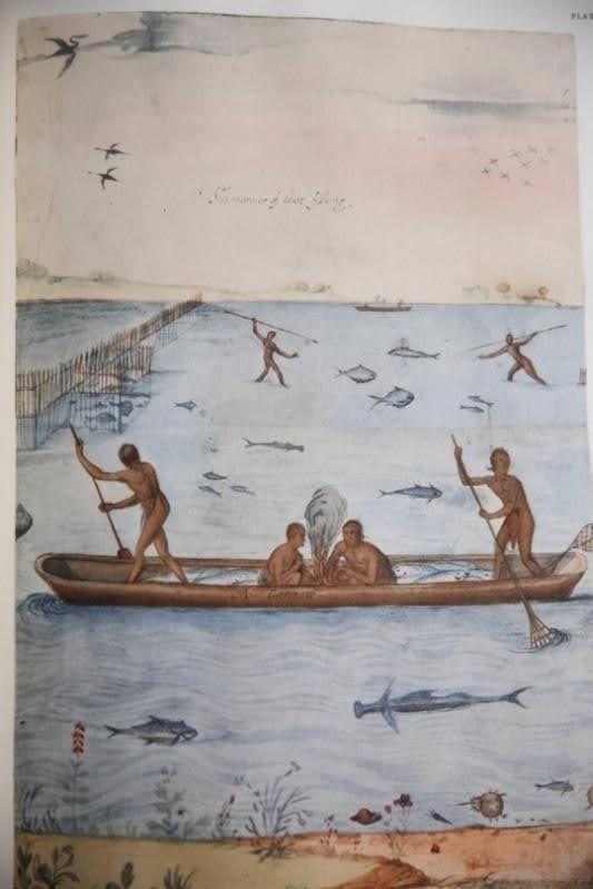 Painting by John White of the Roanoke expedition