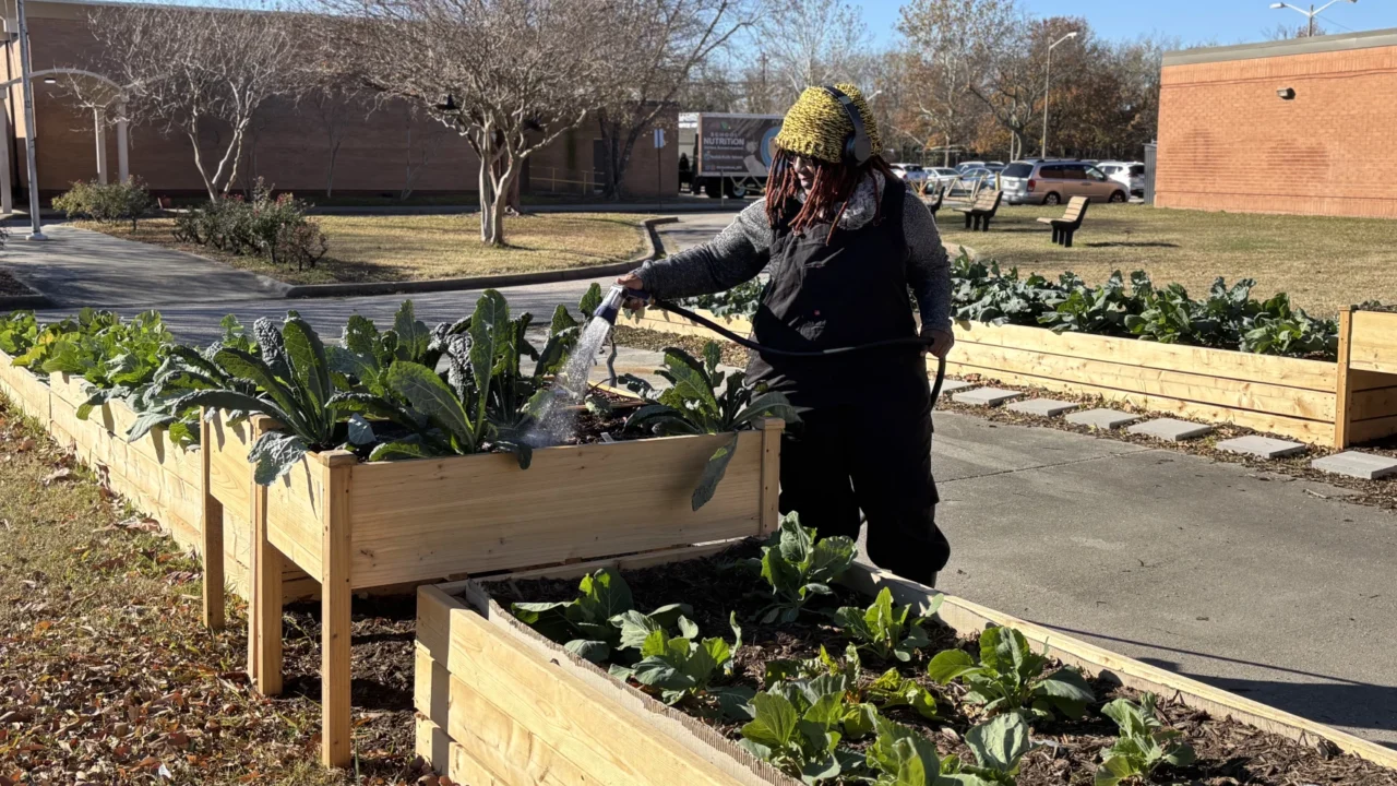 ERP & NSU-led partnership working on a model for environmental justice